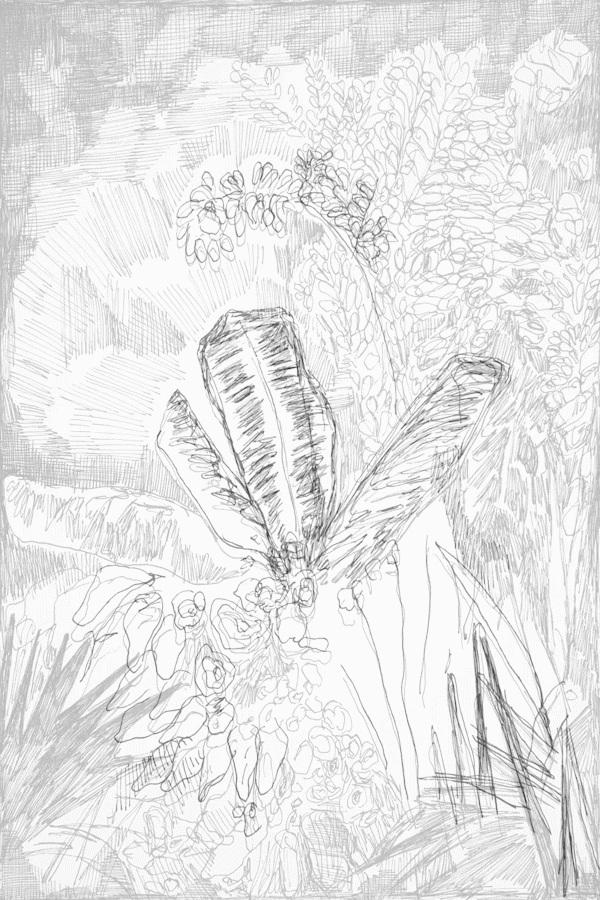 Rozemarijn Westerink - Garden, pen, ink and graphite on paper, 50 x 65 cm, 2019